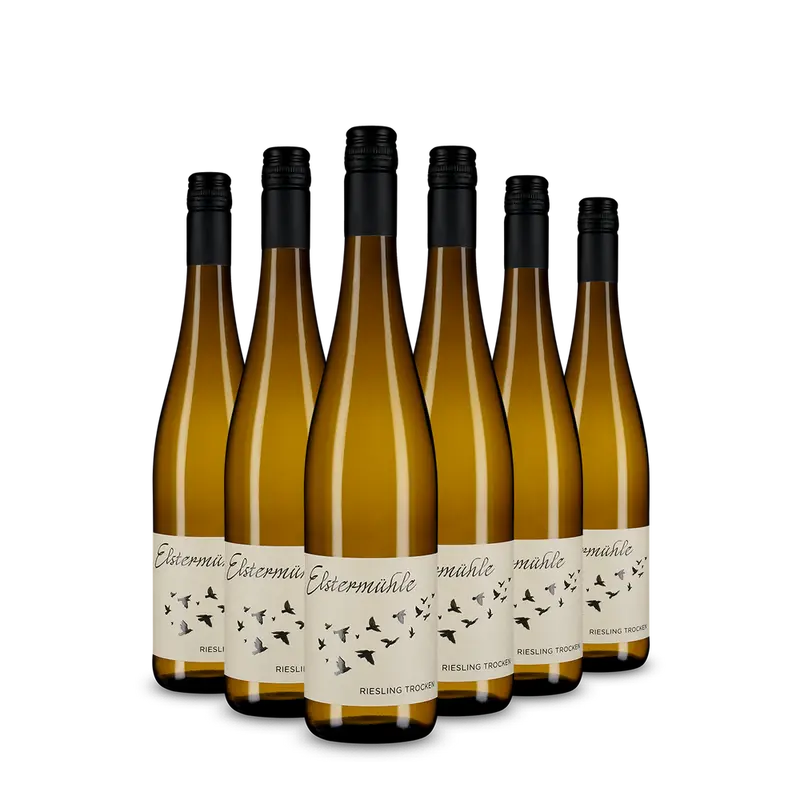 6x Riesling 2025