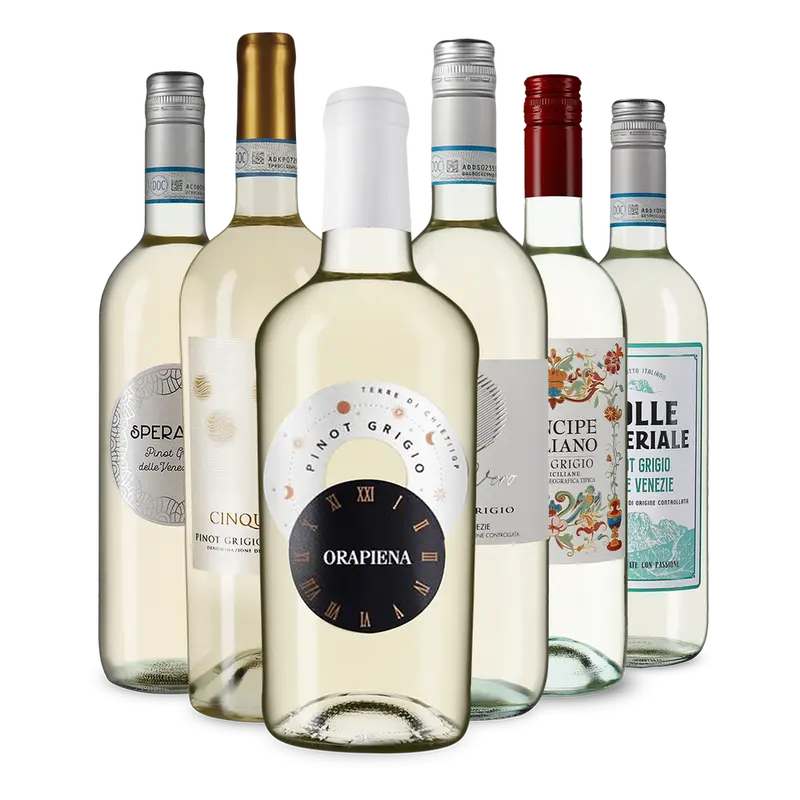 6x1 Pinot Grigio