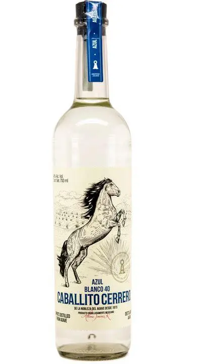 Caballito Cerrero AZUL
