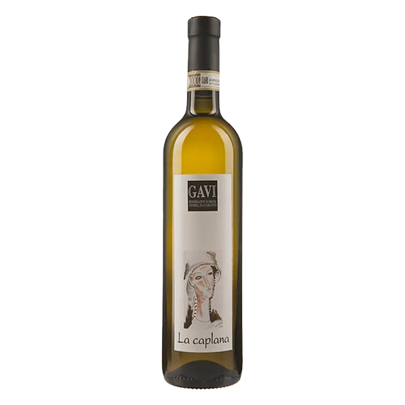Gavi DOCG 2025