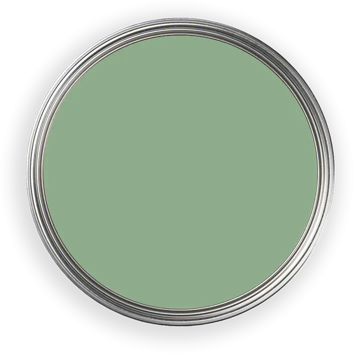Ginkgo 057