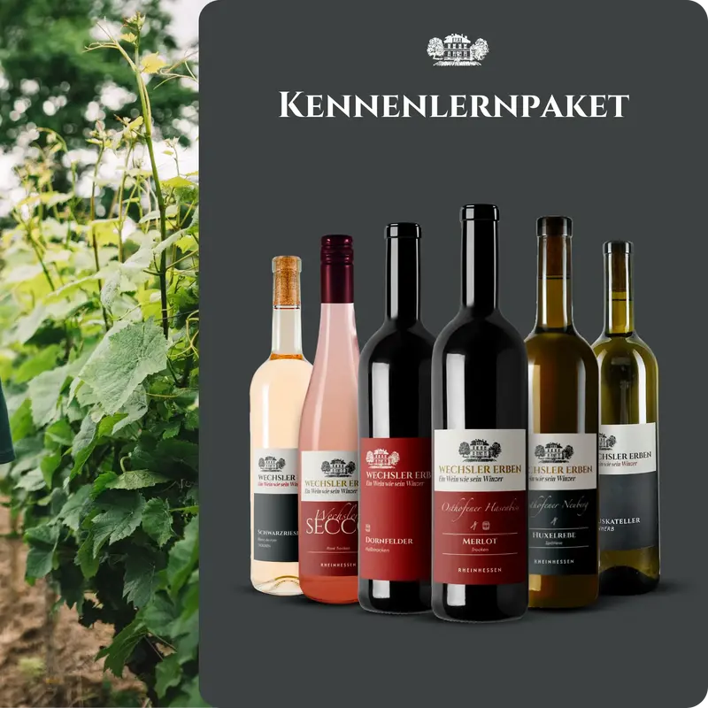 Kennenlernpaket