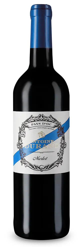 Merlot 2024