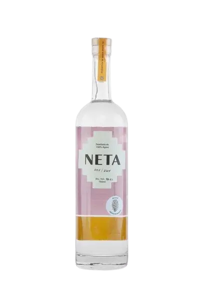 NETA Bicuixe 2024