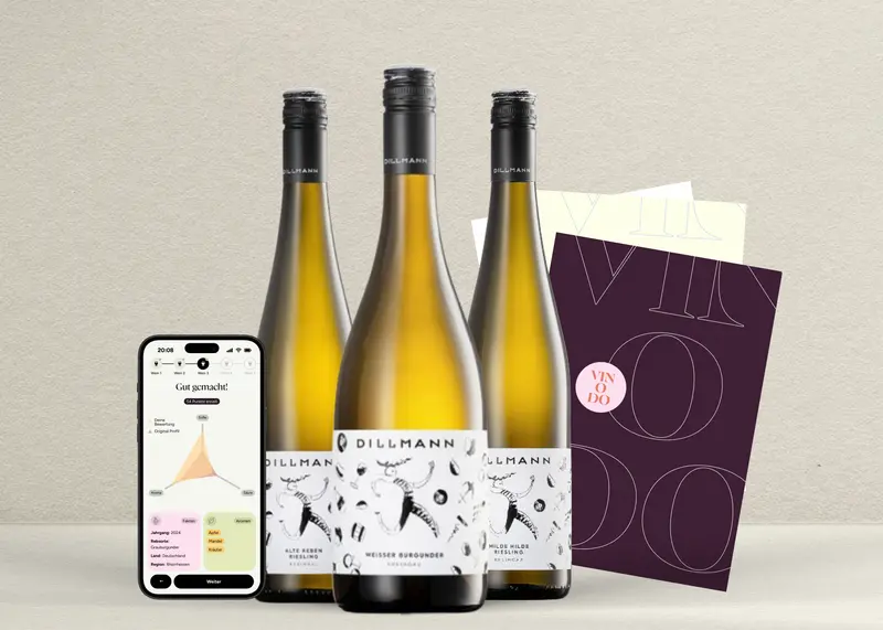 vinodo Tasting zuhause klein - Weingut Dillmann