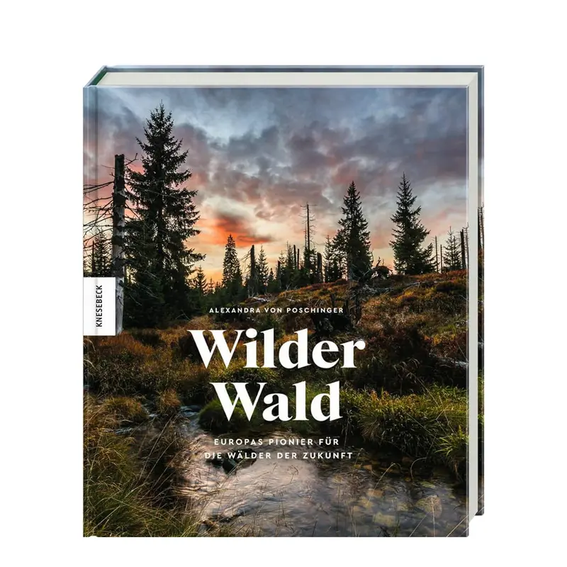 Wilder Wald